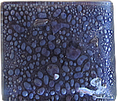 berenjena